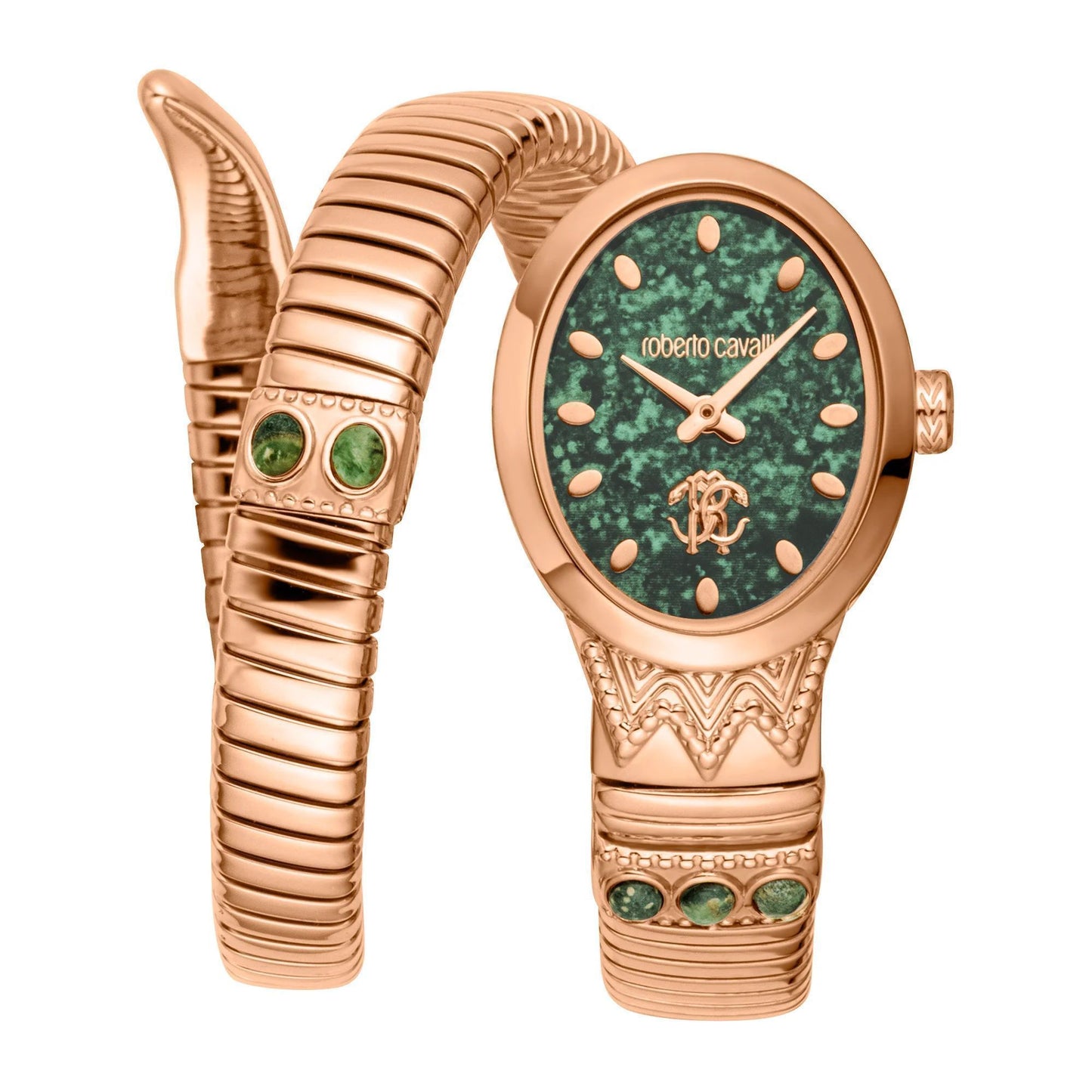 Roberto Cavalli Watch RC5L104M0045