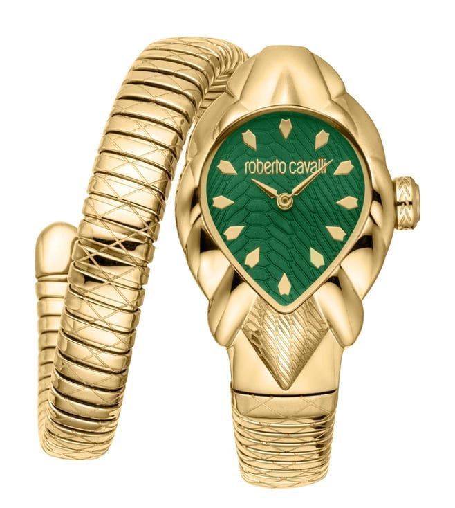Roberto Cavalli Watch RC5L110M0045