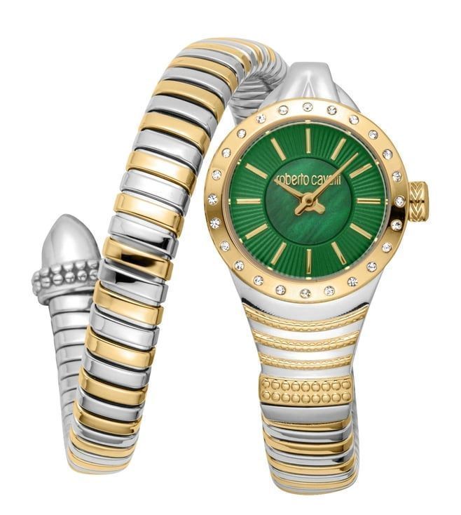 Roberto Cavalli Watch RC5L114M0075