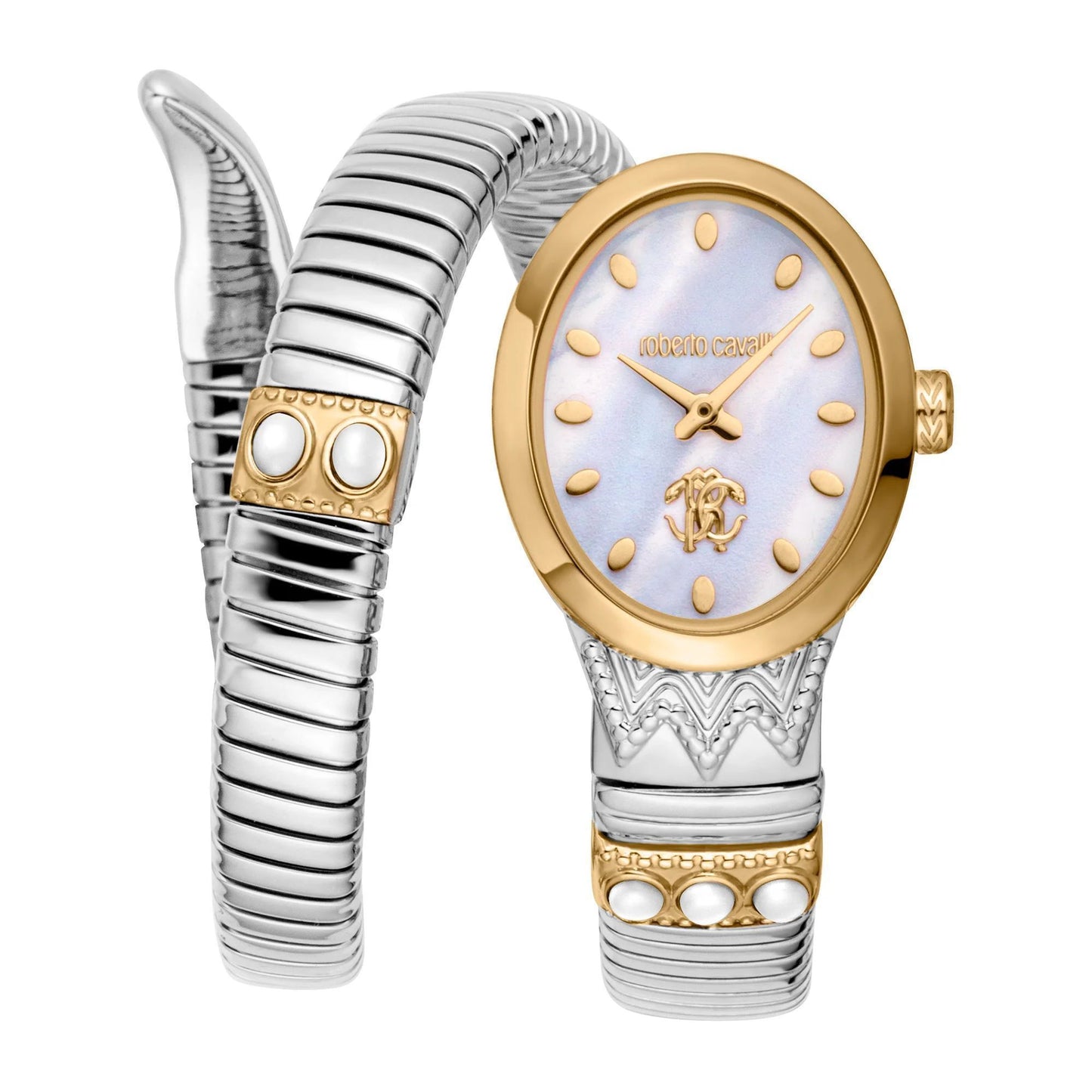 Roberto Cavalli Watch RC5L104M0055