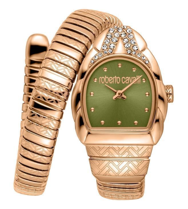 Roberto Cavalli Watch RC5L133M0055