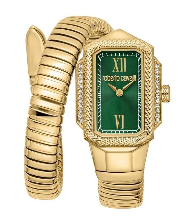 Roberto Cavalli Watch RC5L115M0045