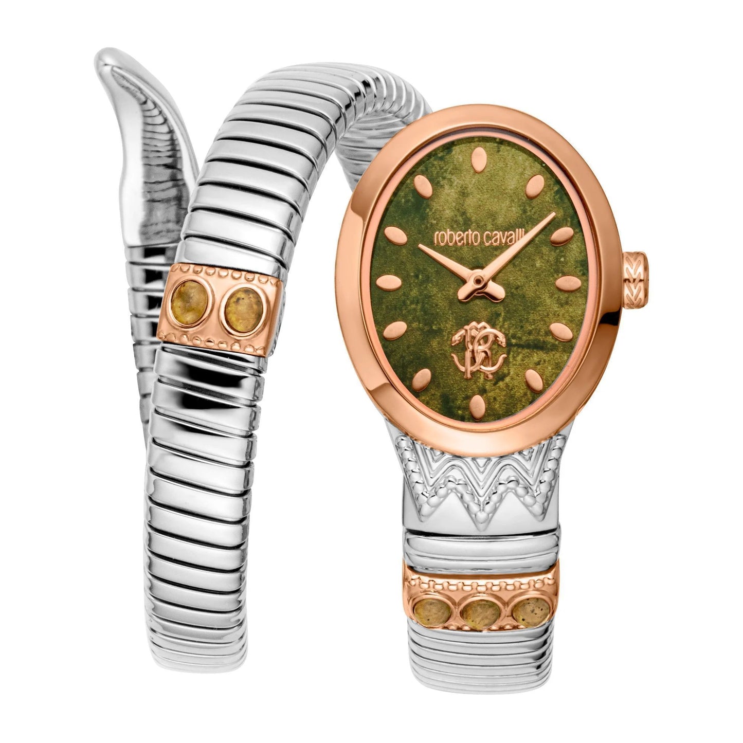 Roberto Cavalli Watch RC5L104M0075