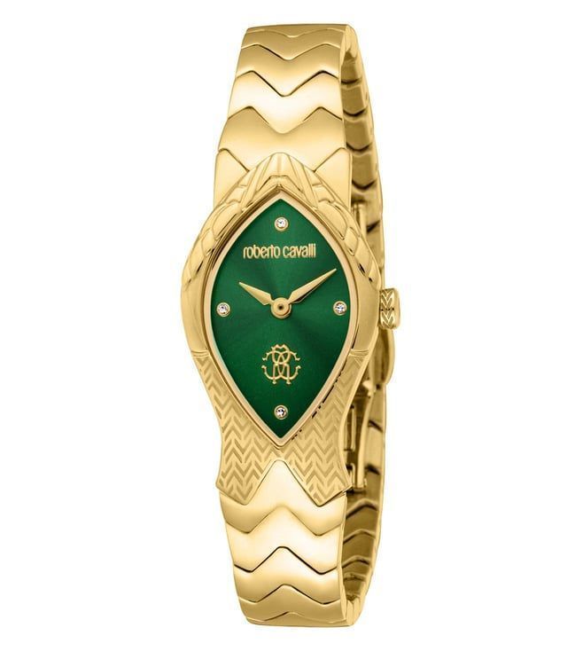 Roberto Cavalli Watch RC5L092M0035