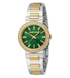 Roberto Cavalli Watch RC5L098M0065