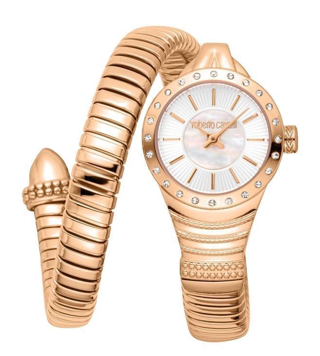 Roberto Cavalli Watch RC5L114M0055