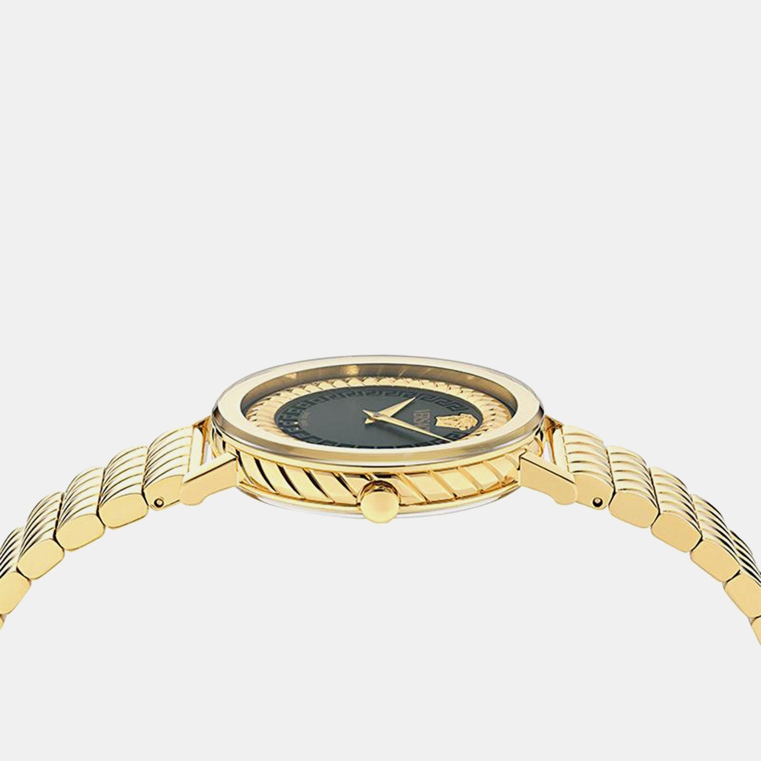 Delphinus Women Quartz Black Dial Analog Stainless Steel Watch VE0O00425