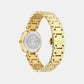 Versace Antlia (Wc-0P) Women Quartz Black Dial Analog Stainless Steel Watch VE0P00625