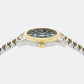 Apodis Men Quartz Green Dial Analog Stainless Steel Watch VE0U00225
