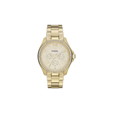 Fossil AM4482