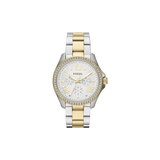 Fossil AM4543 Factory Outlet
