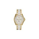 Fossil AM4545