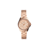 Fossil AM4578