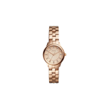 Fossil BQ1571
