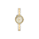 Fossil ES5138