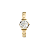 Fossil ES5203