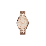 Fossil FS3713