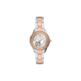 Fossil ME3214
